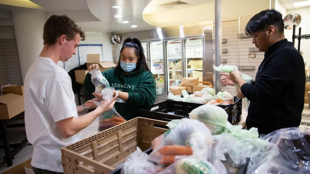 Exploring The Benefits Of Denver Food Banks: More Than Just A Meal